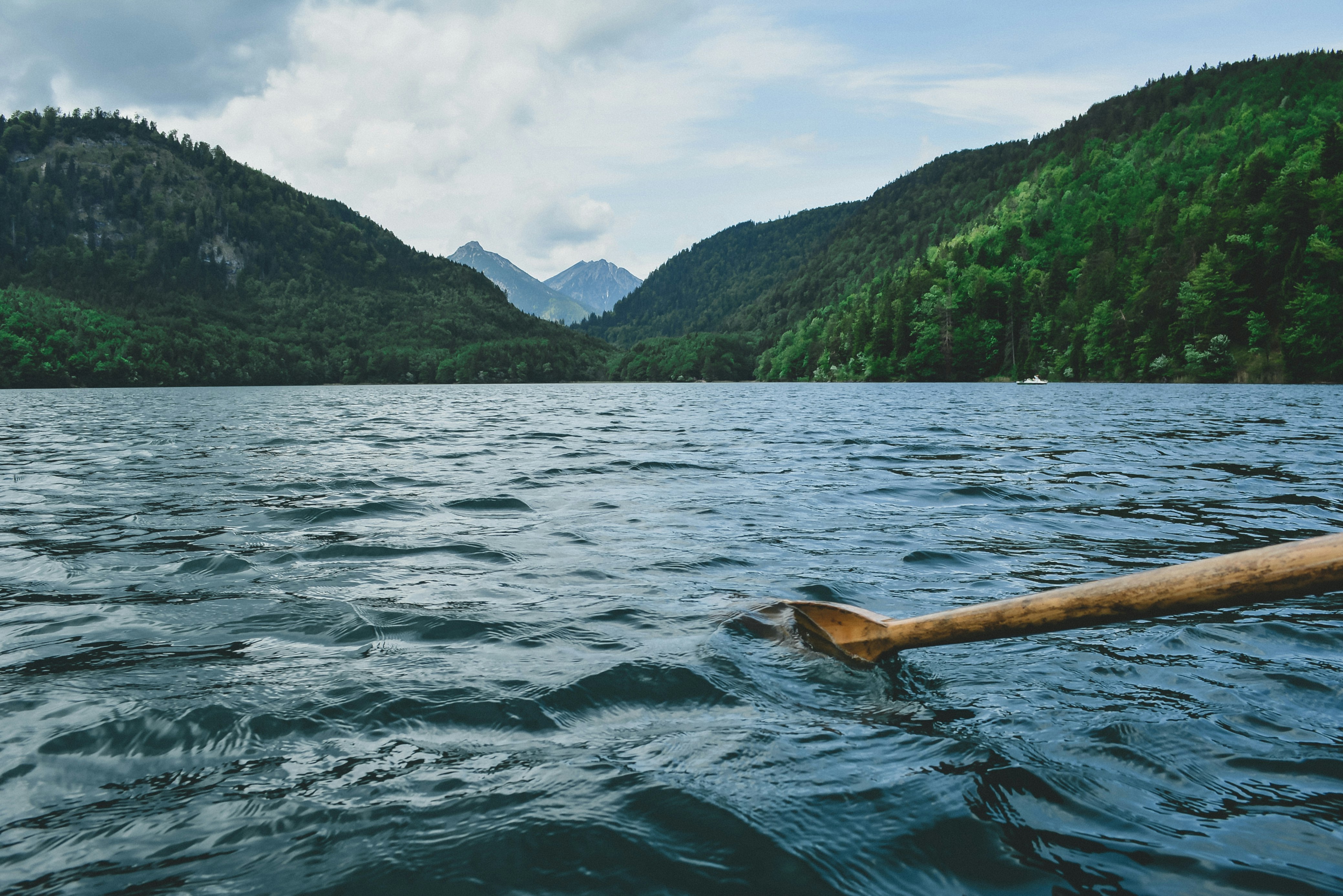 brown paddle